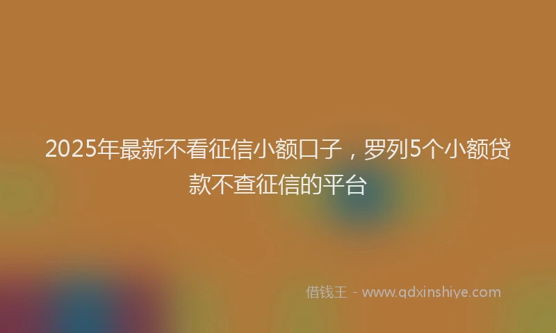 2025年最新不看征信小额口子，罗列5个小额贷款不查征信的平台