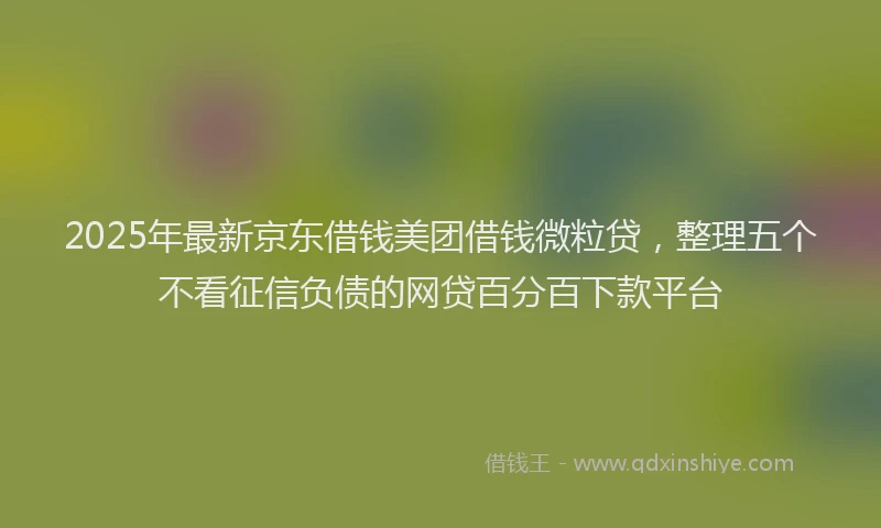 2025年最新京东借钱美团借钱微粒贷，整理五个不看征信负债的网贷百分百下款平台