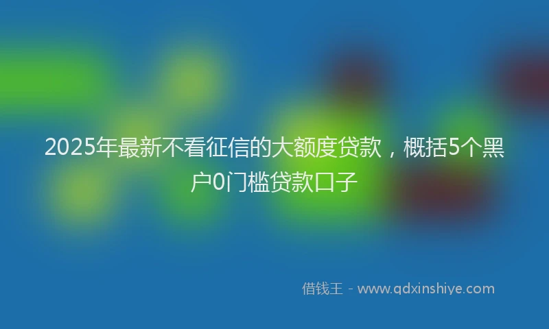 2025年最新不看征信的大额度贷款，概括5个黑户0门槛贷款口子