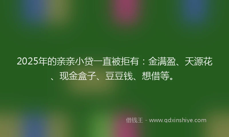 2025年的亲亲小贷一直被拒有：金满盈、天源花、现金盒子、豆豆钱、想借等。