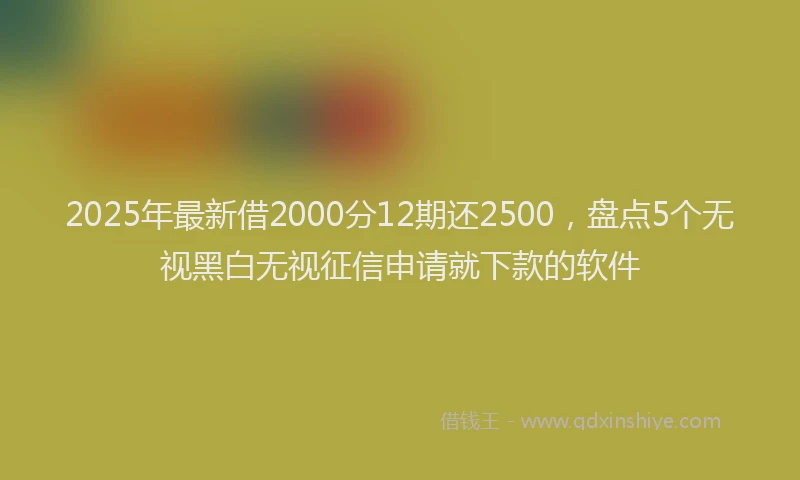 2025年最新借2000分12期还2500，盘点5个无视黑白无视征信申请就下款的软件