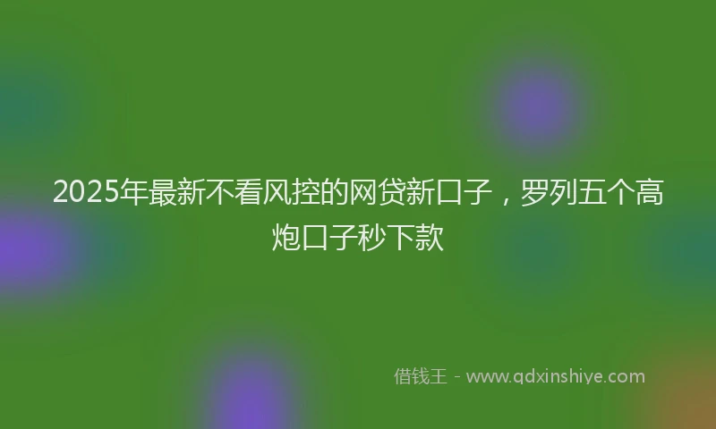 2025年最新不看风控的网贷新口子，罗列五个高炮口子秒下款