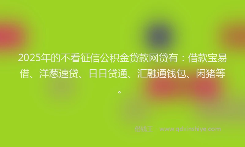 2025年的不看征信公积金贷款网贷有：借款宝易借、洋葱速贷、日日贷通、汇融通钱包、闲猪等。