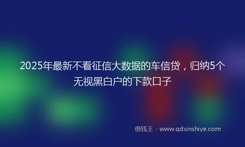 2025年最新不看征信大数据的车信贷，归纳5个无视黑白户的下款口子