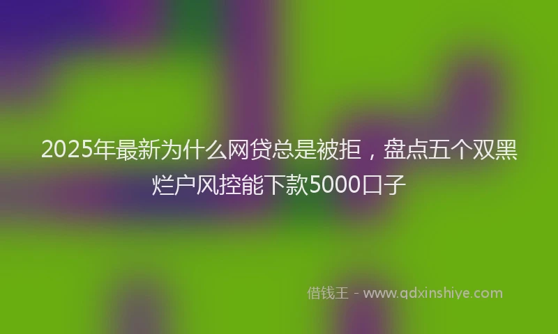 2025年最新为什么网贷总是被拒，盘点五个双黑烂户风控能下款5000口子