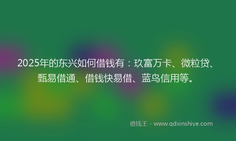 2025年的东兴如何借钱有：玖富万卡、微粒贷、甄易借通、借钱快易借、蓝鸟信用等。