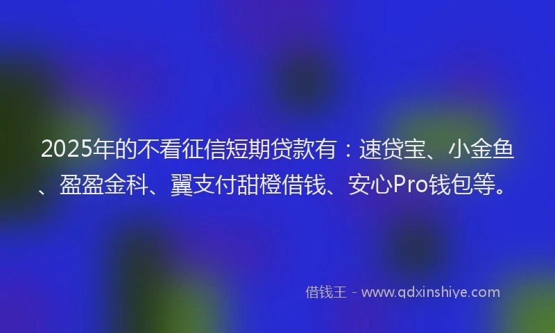 2025年的不看征信短期贷款有：速贷宝、小金鱼、盈盈金科、翼支付甜橙借钱、安心Pro钱包等。