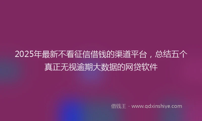 2025年最新不看征信借钱的渠道平台，总结五个真正无视逾期大数据的网贷软件