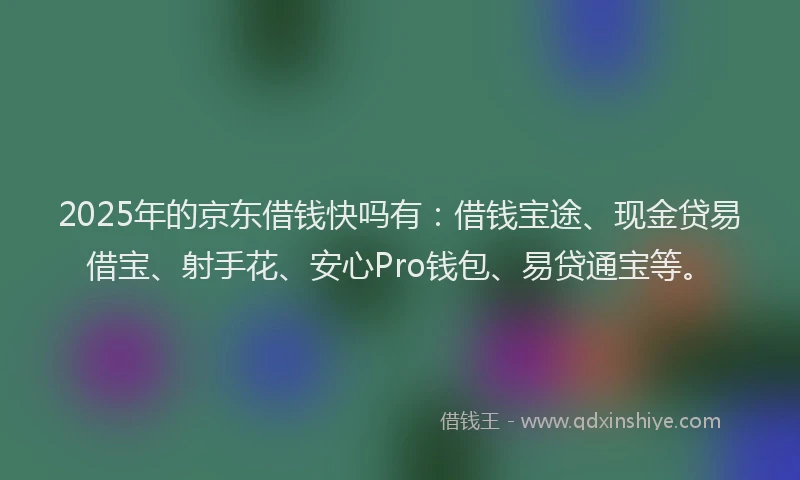2025年的京东借钱快吗有：借钱宝途、现金贷易借宝、射手花、安心Pro钱包、易贷通宝等。