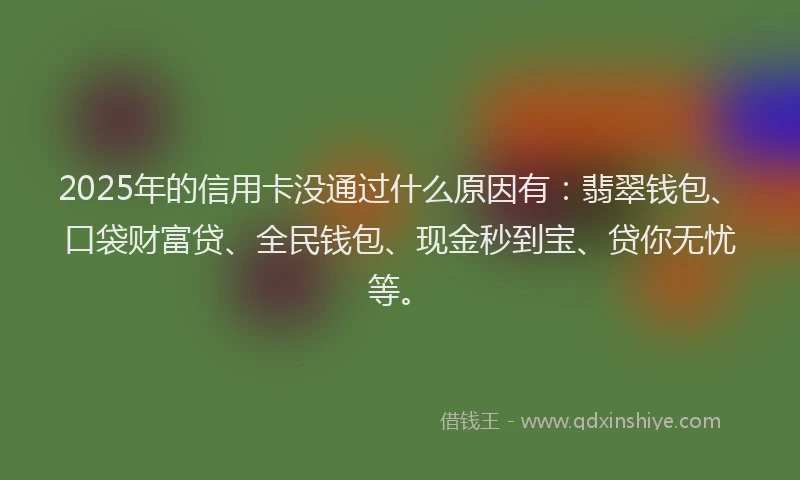 2025年的信用卡没通过什么原因有：翡翠钱包、口袋财富贷、全民钱包、现金秒到宝、贷你无忧等。