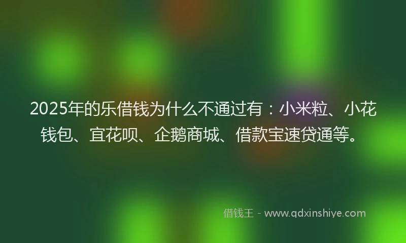 2025年的乐借钱为什么不通过有：小米粒、小花钱包、宜花呗、企鹅商城、借款宝速贷通等。