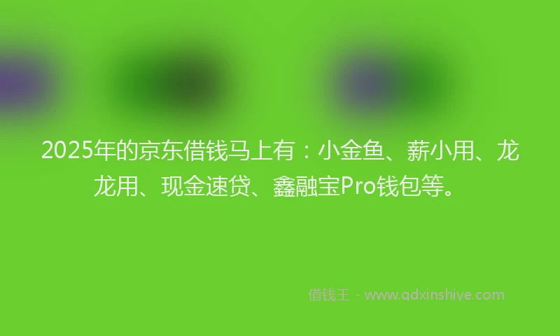 2025年的京东借钱马上有：小金鱼、薪小用、龙龙用、现金速贷、鑫融宝Pro钱包等。