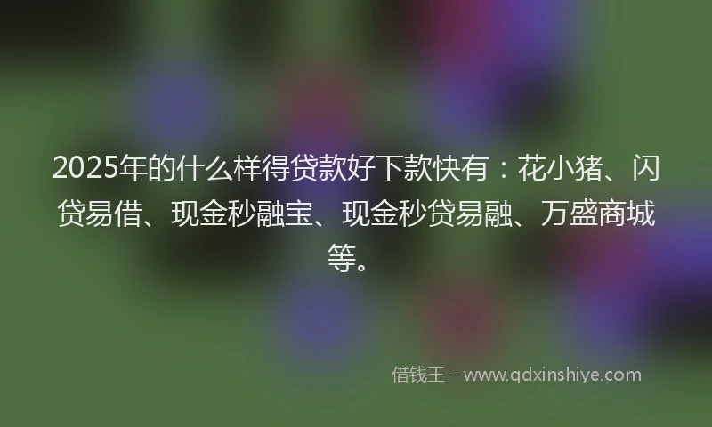 2025年的什么样得贷款好下款快有：花小猪、闪贷易借、现金秒融宝、现金秒贷易融、万盛商城等。