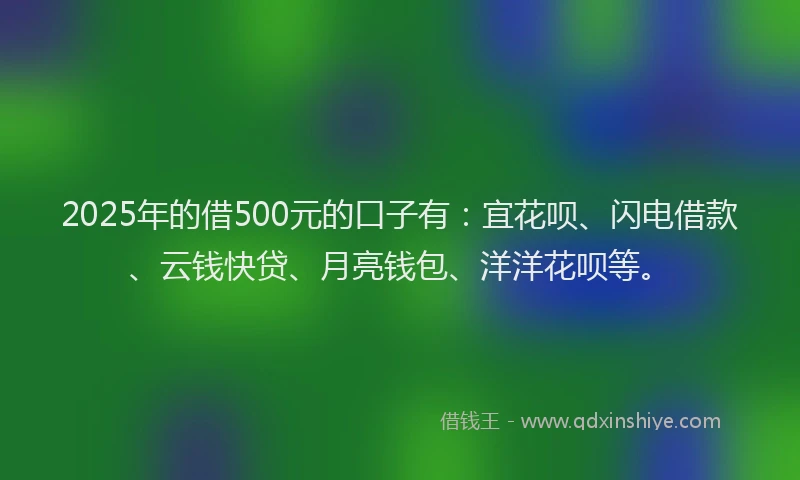 2025年的借500元的口子有：宜花呗、闪电借款、云钱快贷、月亮钱包、洋洋花呗等。