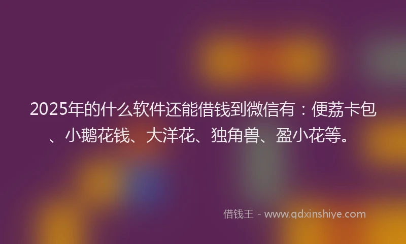 2025年的什么软件还能借钱到微信有：便荔卡包、小鹅花钱、大洋花、独角兽、盈小花等。