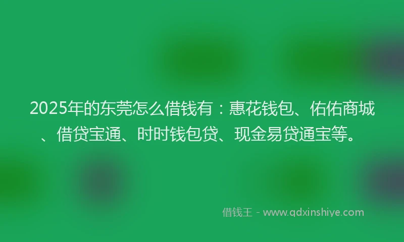 2025年的东莞怎么借钱有：惠花钱包、佑佑商城、借贷宝通、时时钱包贷、现金易贷通宝等。
