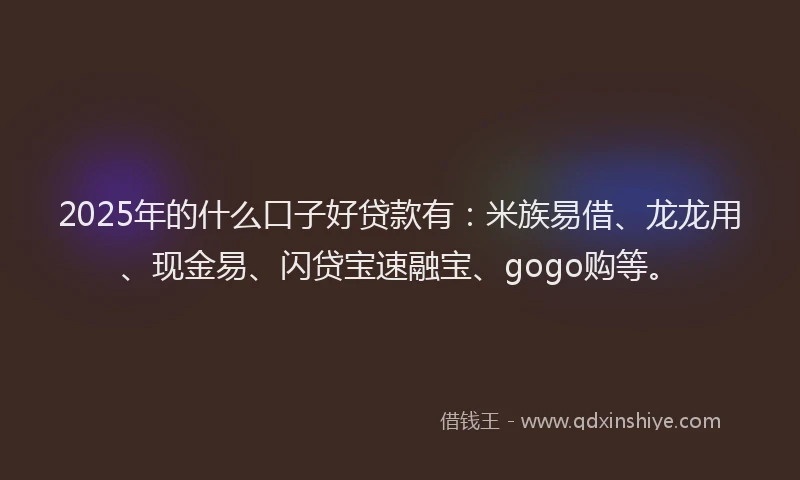 2025年的什么口子好贷款有：米族易借、龙龙用、现金易、闪贷宝速融宝、gogo购等。