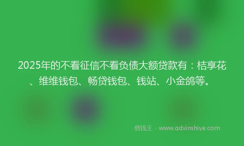 2025年的不看征信不看负债大额贷款有：桔享花、维维钱包、畅贷钱包、钱站、小金鸽等。
