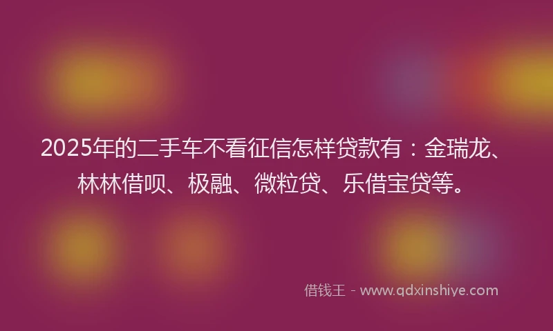 2025年的二手车不看征信怎样贷款有：金瑞龙、林林借呗、极融、微粒贷、乐借宝贷等。