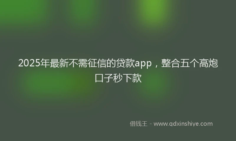 2025年最新不需征信的贷款app，整合五个高炮口子秒下款