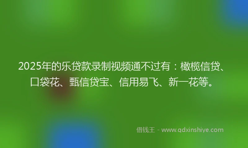2025年的乐贷款录制视频通不过有：橄榄信贷、口袋花、甄信贷宝、信用易飞、新一花等。