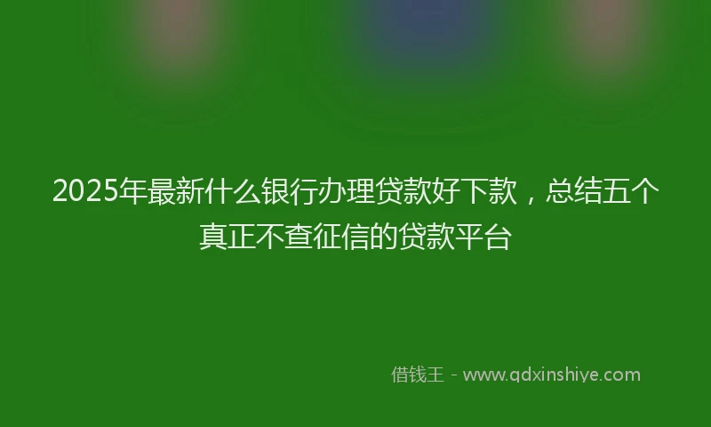 2025年最新什么银行办理贷款好下款，总结五个真正不查征信的贷款平台