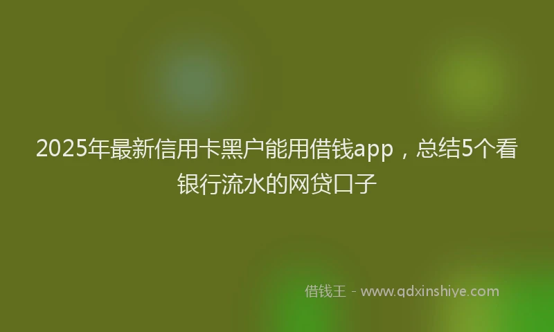 2025年最新信用卡黑户能用借钱app，总结5个看银行流水的网贷口子