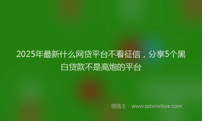 2025年最新什么网贷平台不看征信，分享5个黑白贷款不是高炮的平台