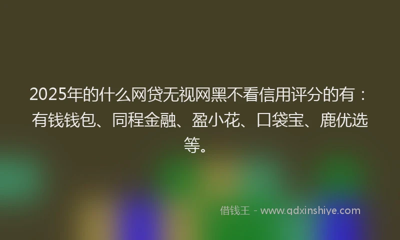 2025年的什么网贷无视网黑不看信用评分的有：有钱钱包、同程金融、盈小花、口袋宝、鹿优选等。