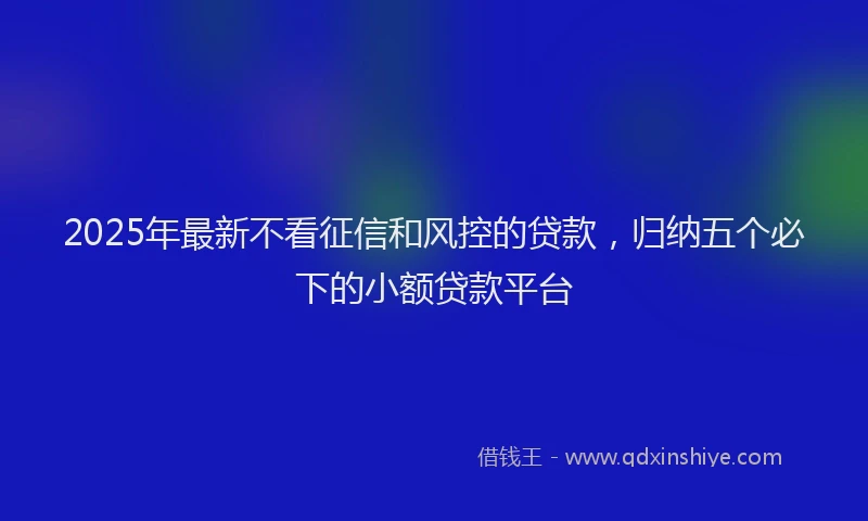 2025年最新不看征信和风控的贷款，归纳五个必下的小额贷款平台