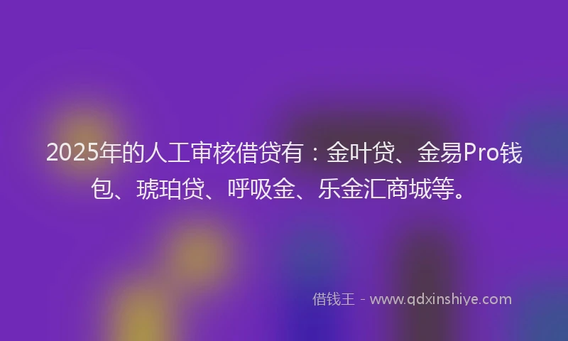 2025年的人工审核借贷有：金叶贷、金易Pro钱包、琥珀贷、呼吸金、乐金汇商城等。