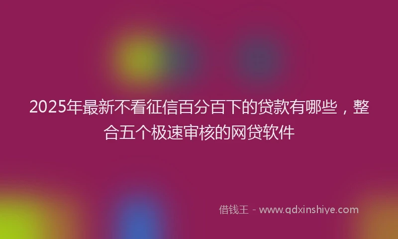 2025年最新不看征信百分百下的贷款有哪些，整合五个极速审核的网贷软件