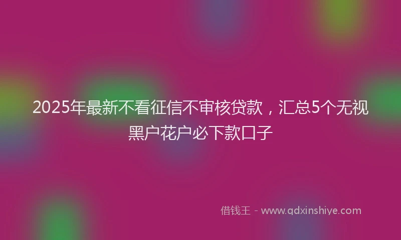 2025年最新不看征信不审核贷款，汇总5个无视黑户花户必下款口子