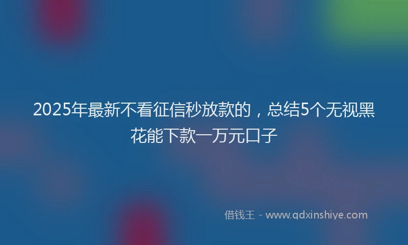 2025年最新不看征信秒放款的，总结5个无视黑花能下款一万元口子