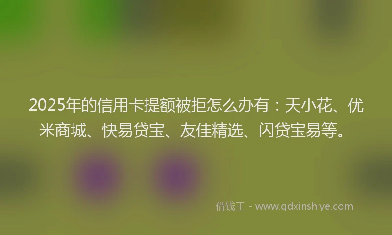 2025年的信用卡提额被拒怎么办有：天小花、优米商城、快易贷宝、友佳精选、闪贷宝易等。