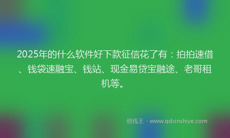 2025年的什么软件好下款征信花了有：拍拍速借、钱袋速融宝、钱站、现金易贷宝融途、老哥租机等。
