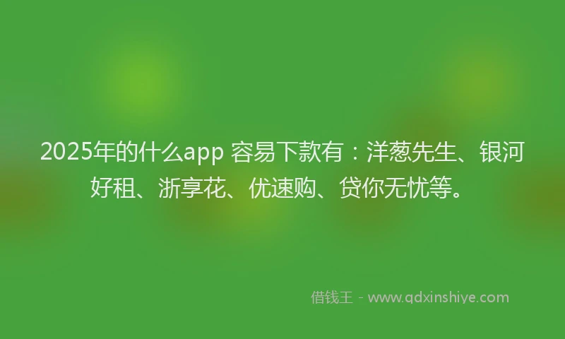 2025年的什么app 容易下款有：洋葱先生、银河好租、浙享花、优速购、贷你无忧等。