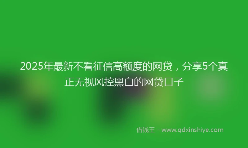 2025年最新不看征信高额度的网贷，分享5个真正无视风控黑白的网贷口子