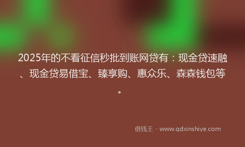 2025年的不看征信秒批到账网贷有：现金贷速融、现金贷易借宝、臻享购、惠众乐、森森钱包等。
