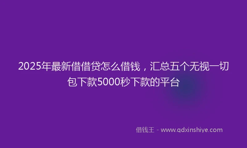 2025年最新借借贷怎么借钱，汇总五个无视一切包下款5000秒下款的平台