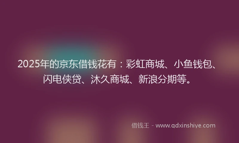 2025年的京东借钱花有：彩虹商城、小鱼钱包、闪电侠贷、沐久商城、新浪分期等。