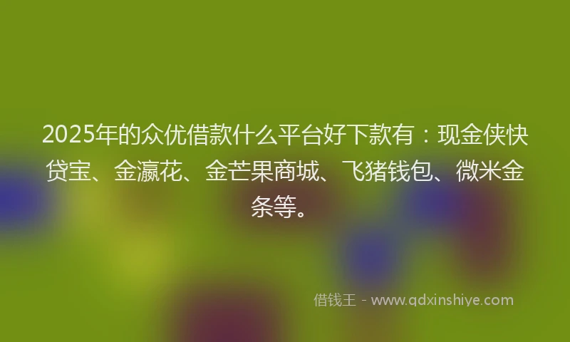2025年的众优借款什么平台好下款有：现金侠快贷宝、金瀛花、金芒果商城、飞猪钱包、微米金条等。