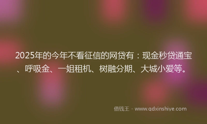 2025年的今年不看征信的网贷有：现金秒贷通宝、呼吸金、一姐租机、树融分期、大城小爱等。