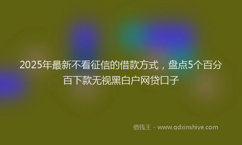 2025年最新不看征信的借款方式，盘点5个百分百下款无视黑白户网贷口子