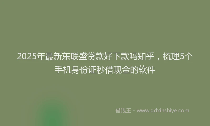 2025年最新东联盛贷款好下款吗知乎，梳理5个手机身份证秒借现金的软件