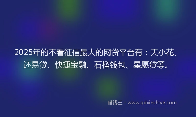 2025年的不看征信最大的网贷平台有：天小花、还易贷、快捷宝融、石榴钱包、星愿贷等。