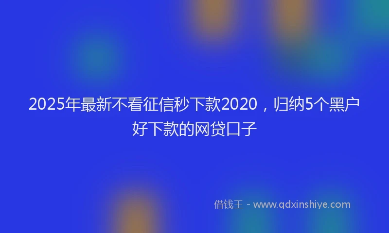 2025年最新不看征信秒下款2020，归纳5个黑户好下款的网贷口子
