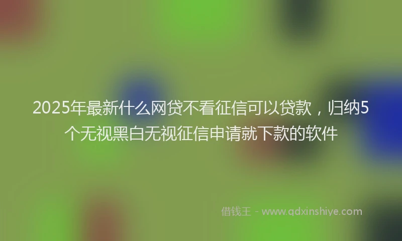 2025年最新什么网贷不看征信可以贷款，归纳5个无视黑白无视征信申请就下款的软件