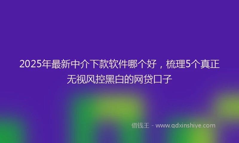 2025年最新中介下款软件哪个好，梳理5个真正无视风控黑白的网贷口子