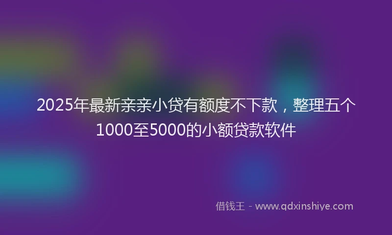 2025年最新亲亲小贷有额度不下款，整理五个1000至5000的小额贷款软件